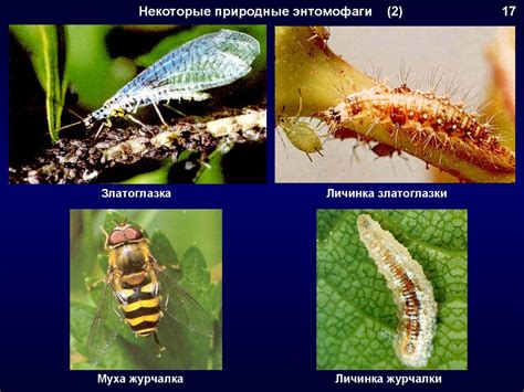 Методы защиты от подкидывания вилок