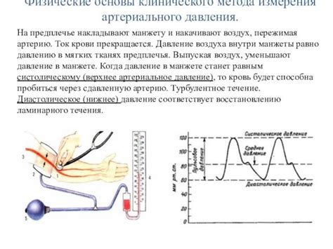 Методы измерения пристеночного кровотока