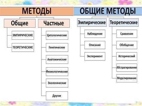 Методы изучения роли плацев