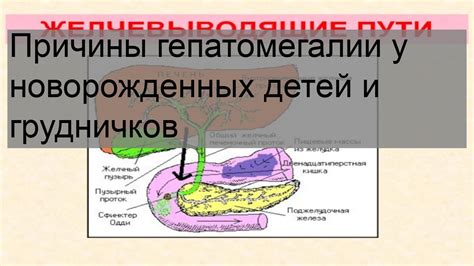 Методы лечения гепатомегалии у детей