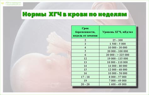 Методы определения возраста беременности по уровню хГЧ