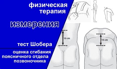 Методы определения оси сгибания