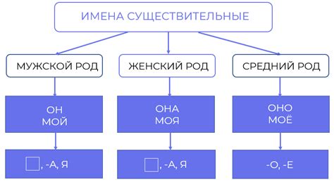 Методы определения рода существительного