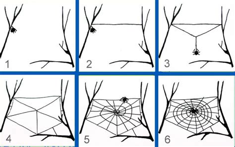 Методы плетения паутины