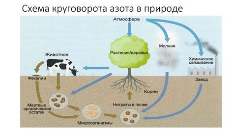 Методы покинуть круговорот