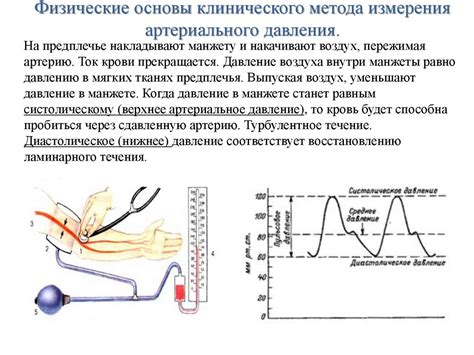 Методы регистрации трофобластического кровотока