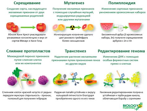 Методы создания рекомбинантных генов