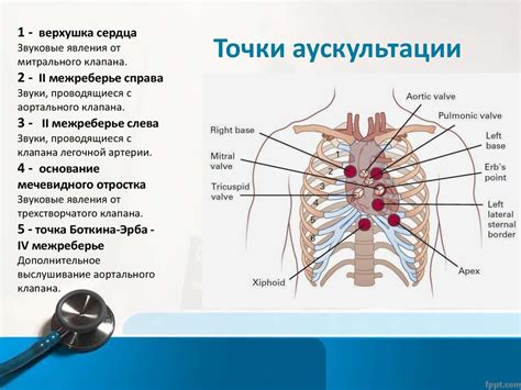 Метод аускультации