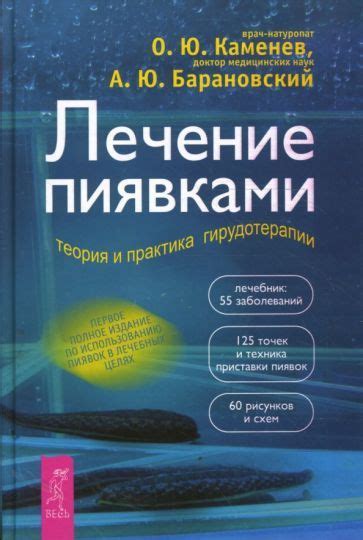 Метод применения пиявок для гирудотерапии