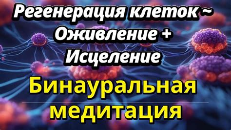 Метод 3: Укрепление иммунной системы