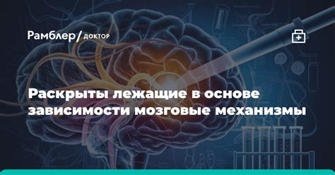 Механизмы, лежащие в основе возникновения сновидений