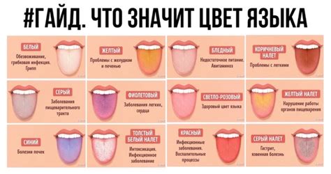 Механизмы, ответственные за цвет языка