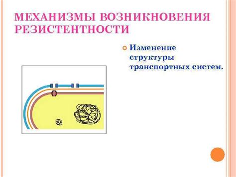 Механизмы возникновения миометрия крупнозернистой структуры