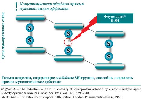 Механизмы действия ацетилцистеина