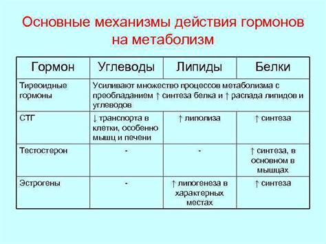 Механизмы действия липогенеза