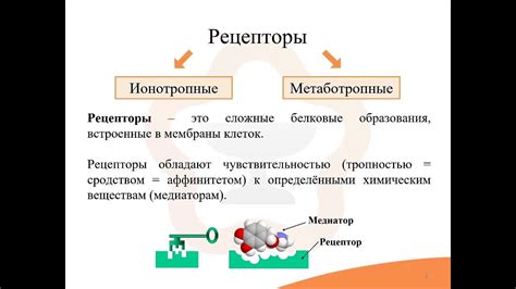 Механизмы действия миелотоксических лекарственных средств