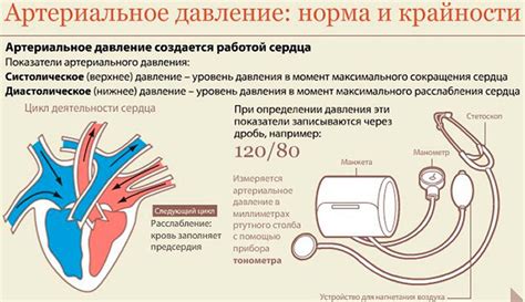 Механизмы действия нитратов на артериальное давление