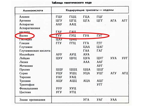 Механизмы избыточности генетического кода