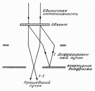 Механизмы накопления контраста