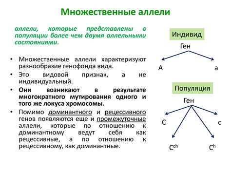 Механизмы образования множественных аллелей