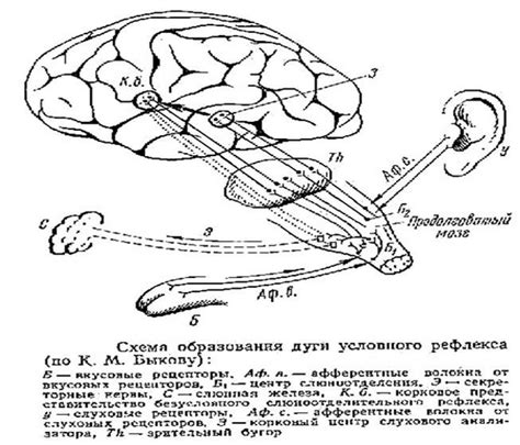 Механизмы образования хвоста звезды