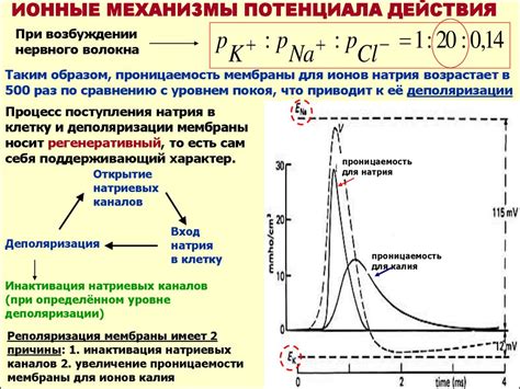 Механизмы пирогенного действия