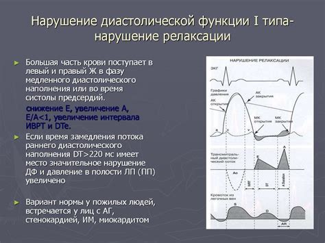 Механизмы поддержания и сохранения систолической функции