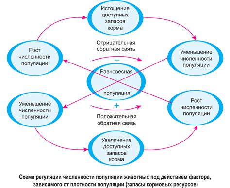 Механизмы поддержания нейтралитета на территории