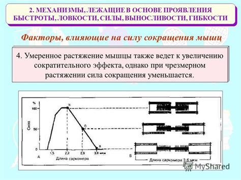 Механизмы проявления ремиттирующего эффекта