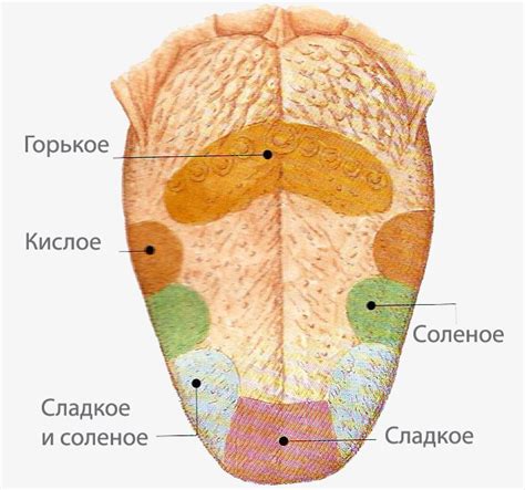 Механизмы укусывания языка