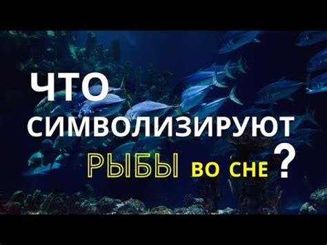 Механизмы формирования и толкования приснившихся образов рыбы во сне