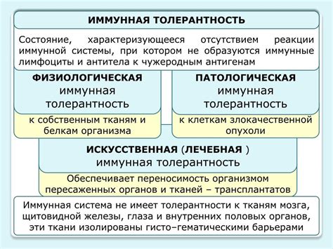 Механизмы формирования предвзятости