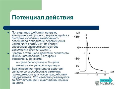 Механизмы холекинетического действия