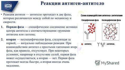 Механизм взаимодействия этанола и Лерканидипина