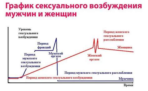 Механизм возбуждения у мужчин и выделение прозрачной жидкости