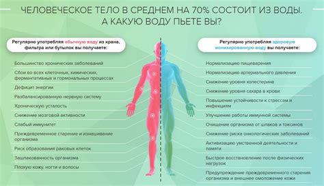 Механизм воздействия МСГ на организм человека