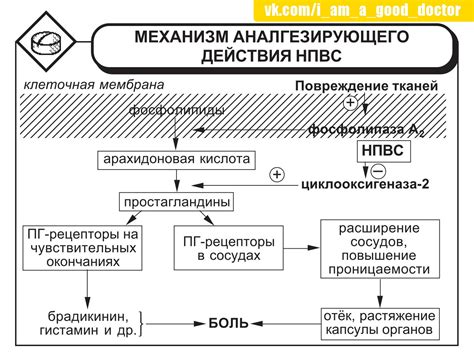 Механизм действия Назола