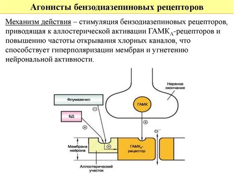 Механизм действия ТЦА