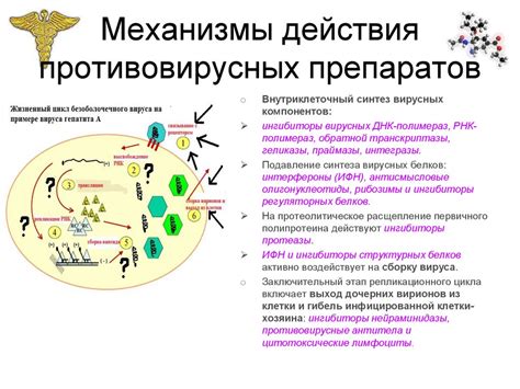 Механизм действия антибиотиков на протозои