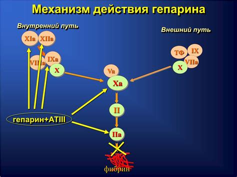 Механизм действия гепарина