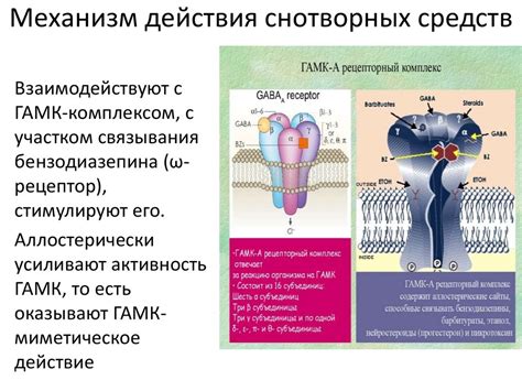 Механизм действия гипоазотемического средства