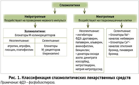 Механизм действия гипосенсибилизирующих препаратов