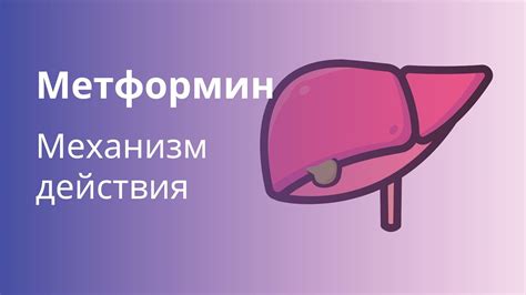 Механизм действия метформина