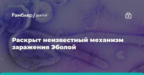 Механизм заражения нановирусов организмом