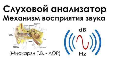 Механизм образования имплозивного звука