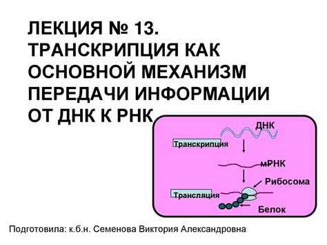 Механизм передачи информации