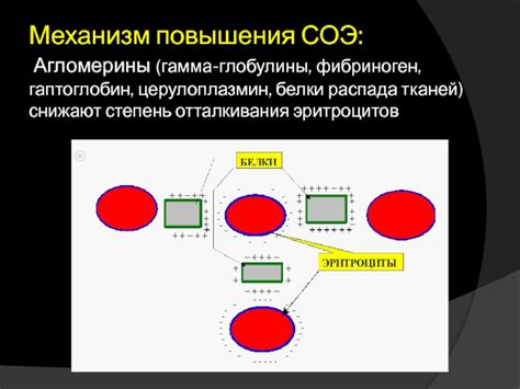 Механизм повышения СОЭ при онкологии