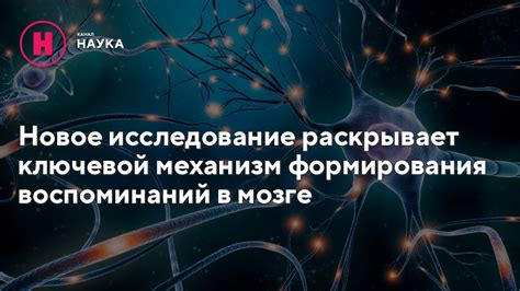 Механизм подсознательных воспоминаний в снах