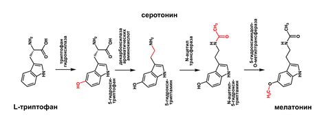 Механизм работы препарата