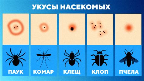 Механическое воздействие, укусы насекомых, авитаминоз